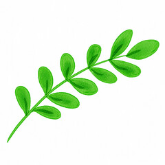 green leaves on white background