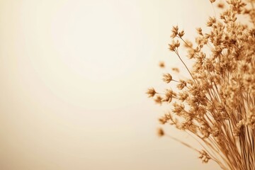 Obraz premium Dried floral arrangement brings warmth and tranquility to a minimalist setting in soft, inviting tones