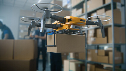 Logistics Distribution Center: UAV Drone Carrying Cardboard Box with Products, Goods. AI Automated...