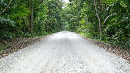 Fototapeta premium Dirt road through lush tropical forest. Possible use nature photography