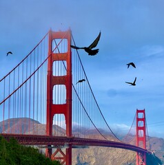 birds swoop over bridge