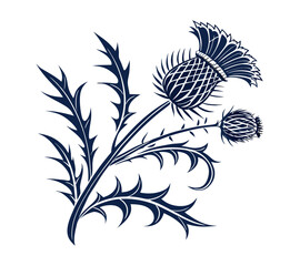 Scottish thistle vector Line art in Celtic style flower illustration