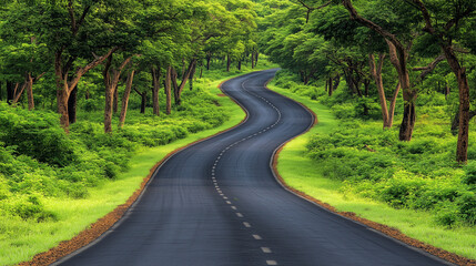 Fototapeta premium Serene winding road through a lush green forest, symbolizing adventure, exploration, and the journey ahead, perfect for travel and nature-inspired concepts