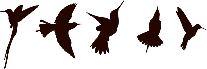 hummingbird set silhouette on white background vector