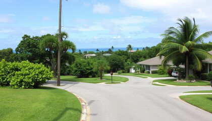 Obraz premium A well-maintained suburban neighborhood with palm trees, green lawns, and wide roads, captured under a clear blue sky, ideal for real estate and lifestyle photography.