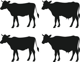 Four Silhouettes of Longhorn Cattle