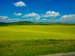 view of the field and mountains