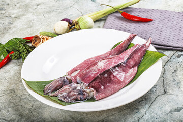 Fresh raw aquid in the plate