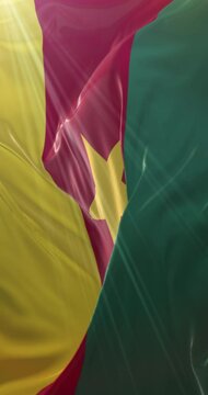 Cameroon flag. Loop. 4K Vertical