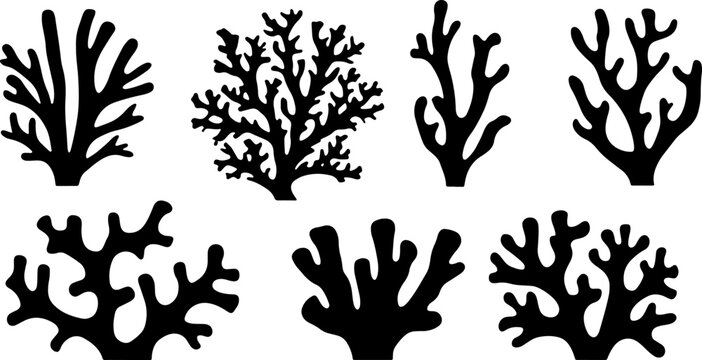 Sea corals and seaweed black silhouette vector illustration