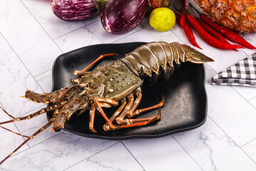 Raw wild fresh spiny lobster