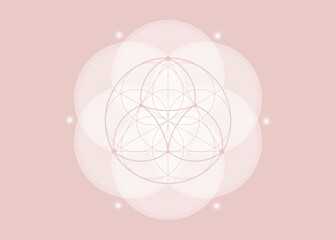 Sacred Geometry, Flower of Life, lotus flower mandala. White vintage logo Symbol of Harmony and Balance, Geometrical Ornament, yoga relax, purity, vector isolated on old rose background