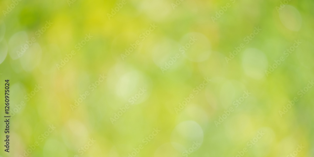 Wall mural abstract green natural background of blurred leaves. defocus lights on a background of greenery.