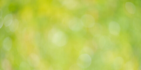 Abstract green natural background of blurred leaves. Defocus lights on a background of greenery.
