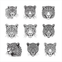 Intricate Jaguar and Leopard Illustrations – Artistic Black and White Wildlife Designs