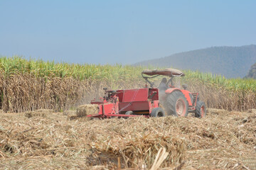 A tractor is using a machine to press sugarcane leaves into square bales in a sugarcane field.