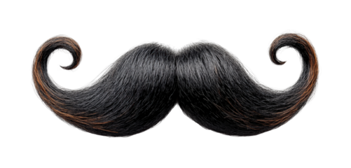 Mustache styles portrait creative isolated on transparent background - Generative AI