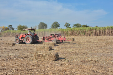 A tractor is using a machine to press sugarcane leaves into square bales in a sugarcane field.
