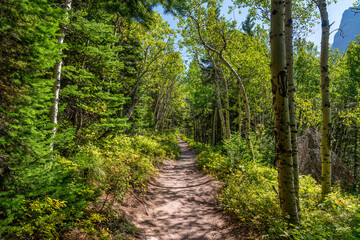 Swiftcurrent Creek Pass Trail - view of Mount Grinnell - Many Glaciers - Glacier National Park