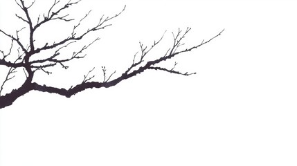 Silhouette of Leafless Tree Branch against a Bright White Background in Minimalist Style