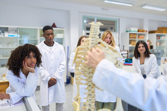 Medical students studying human skeleton anatomy in university lab