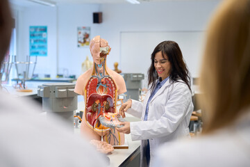 Medical students studying human anatomy with anatomical model at university