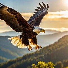 Fototapeta premium A close-up of a majestic eagle soaring high above a misty mountain range, with golden sunlight illuminating its wings.