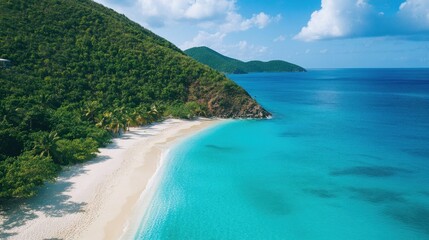 Fototapeta premium Metropolitan Majesty, Gleaming Skyscraper Illuminating the Urban Nightscape