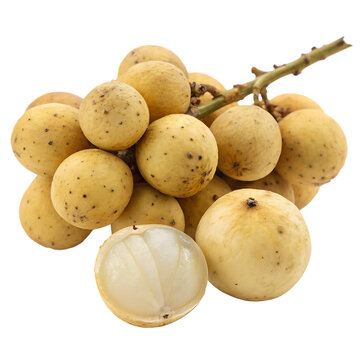 Langsat fruit isolated on transparent background