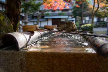 定光寺紅葉