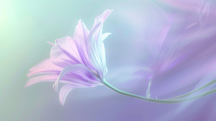Fototapeta premium A delicate lavender flower swaying in the breeze, with a smooth blurred background of pastel purple and green tones.