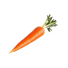 Single Fresh Organic Carrot Isolated on White Background