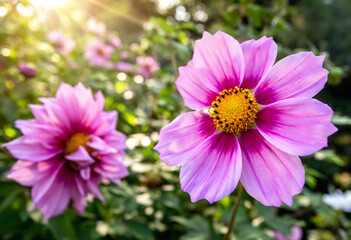 Fototapeta premium Whimsical Awakening: A quiet forest in spring with flowers that defy expectationsoversized petals with rainbow gradients or shimmering metallic accents.