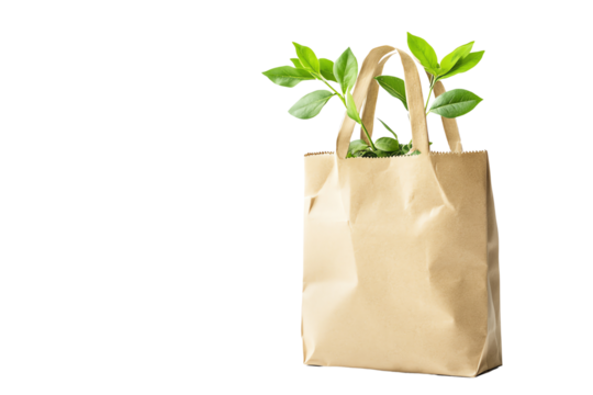 A kraft paper bag with green leaves emerging from it, symbolizing eco-friendliness and sustainable shopping practices against a white background.