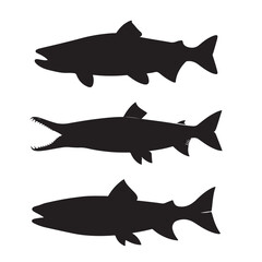 Silhouette of arctic char fish stock illustration, Fish vector illustration.