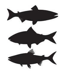 Obraz premium Silhouette of arctic char fish stock illustration, Fish vector illustration.