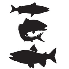 Silhouette of arctic char fish stock illustration, Fish vector illustration.