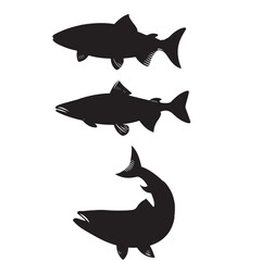 Silhouette of arctic char fish stock illustration, Fish vector illustration.