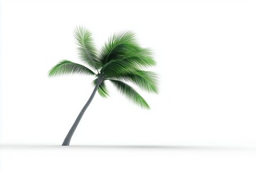 Obraz premium Strong Palm Tree in Windy Conditions Tropical Beach Nature Photography Bright Environment Close-Up View Resilience Concept