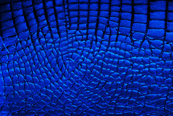 Texture of blue alligator skin. Background of natural crocodile leather.