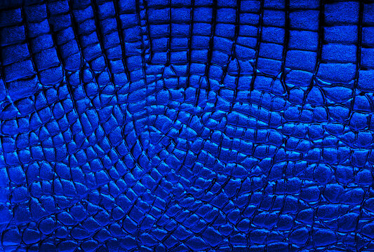 Texture of blue alligator skin. Background of natural crocodile leather.