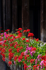 fleurs sur un balcon