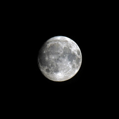 full moon in the night