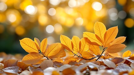 Golden Autumn Leaves Branch And Ground Cover
