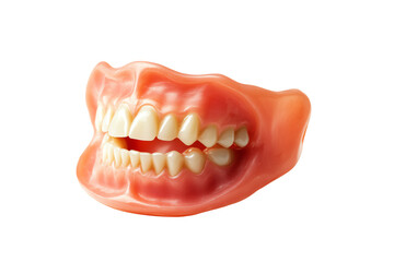 Obraz premium Realistic model of a human mouth with teeth, showcasing dental structure and alignment, perfect for dental education and training.