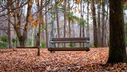 텅 빈 나무 그네가 흔들리는 조용한 공원