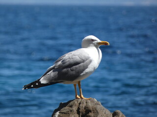 La mer