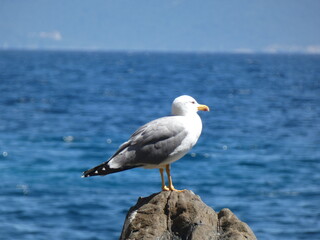 La mer