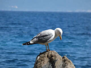 La mer