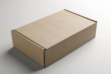 One blank cardboard box on white background. Mockup for design